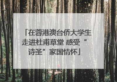 在蓉港澳台侨大学生走进杜甫草堂 感受“诗圣”家国情怀