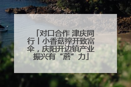 对口合作 津庆同行丨小香菇撑开致富伞，庆阳开边镇产业振兴有“蘑”力