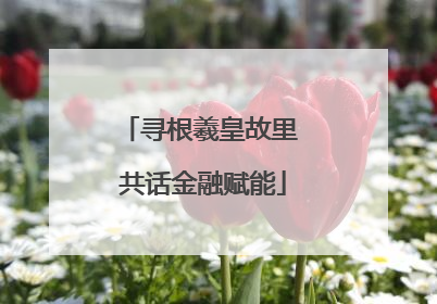 寻根羲皇故里 共话金融赋能