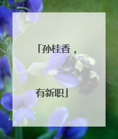 孙桂香，有新职