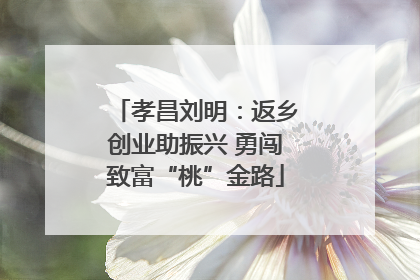 孝昌刘明：返乡创业助振兴 勇闯致富“桃”金路