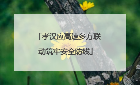 孝汉应高速多方联动筑牢安全防线