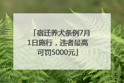 宿迁养犬条例7月1日施行，违者最高可罚5000元