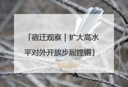 宿迁观察｜扩大高水平对外开放步履铿锵