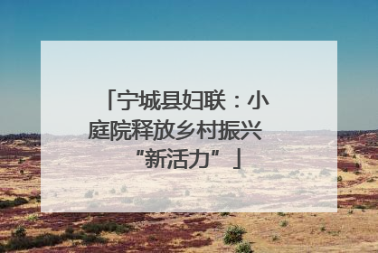 宁城县妇联：小庭院释放乡村振兴“新活力”