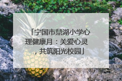 宁国市鼎湖小学心理健康月：关爱心灵，共筑阳光校园