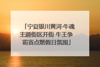 宁夏银川黄河·牛魂主题街区开街 牛王争霸赛点燃假日氛围