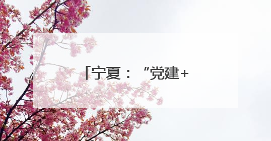 宁夏：“党建+科特派”架起服务乡村连心桥