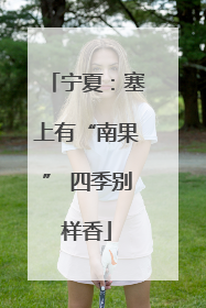 宁夏：塞上有“南果” 四季别样香