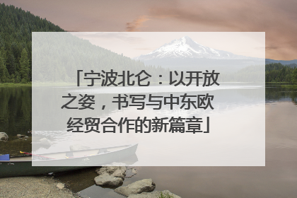 宁波北仑：以开放之姿，书写与中东欧经贸合作的新篇章
