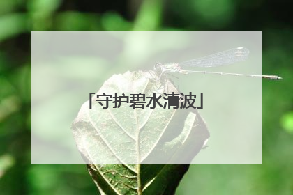 守护碧水清波