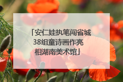 安仁娃执笔闯省城 38组童诗画作亮相湖南美术馆
