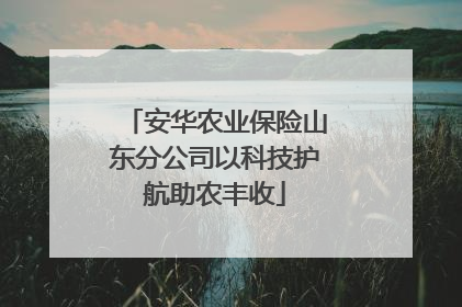 安华农业保险山东分公司以科技护航助农丰收