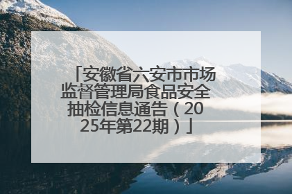 安徽省六安市市场监督管理局食品安全抽检信息通告（2025年第22期）