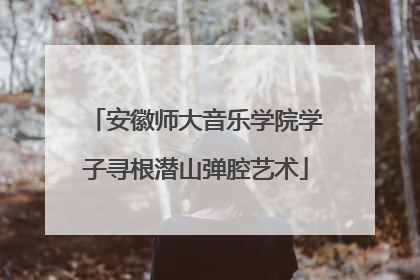 安徽师大音乐学院学子寻根潜山弹腔艺术