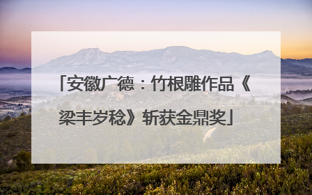 安徽广德：竹根雕作品《梁丰岁稔》斩获金鼎奖