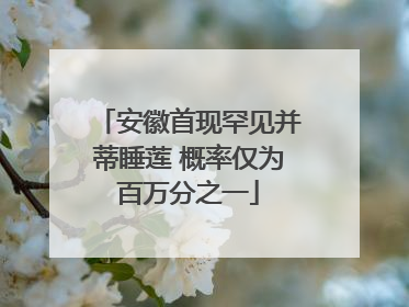 安徽首现罕见并蒂睡莲 概率仅为百万分之一