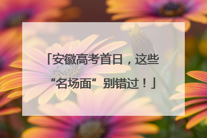 安徽高考首日，这些“名场面”别错过！