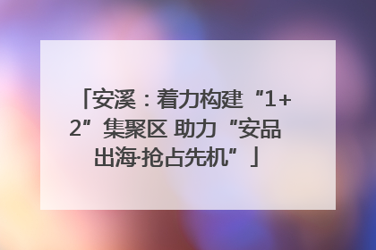 安溪：着力构建“1+2”集聚区 助力“安品出海·抢占先机”