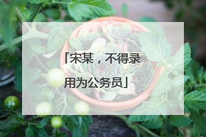 宋某，不得录用为公务员