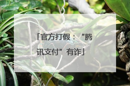 官方打假：“腾讯支付”有诈
