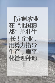 定制农业在“北国粮都”茁壮生长！企业：用算力指导生产，扁平化管理种地
