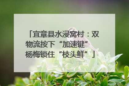 宜章县水浸窝村：双物流按下“加速键” 杨梅锁住“枝头鲜”