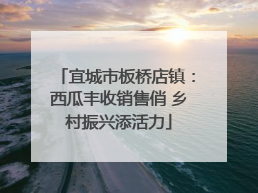 宜城市板桥店镇：西瓜丰收销售俏 乡村振兴添活力