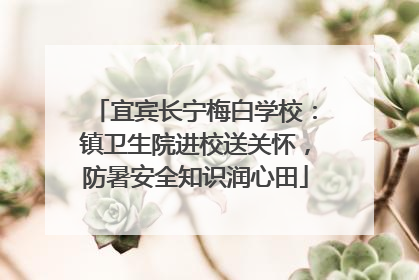 宜宾长宁梅白学校：镇卫生院进校送关怀，防暑安全知识润心田