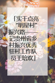 实干点亮“明星村”振兴路——记贵州省乡村振兴优秀驻村工作队员王培欢