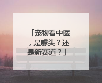 宠物看中医，是噱头？还是新赛道？