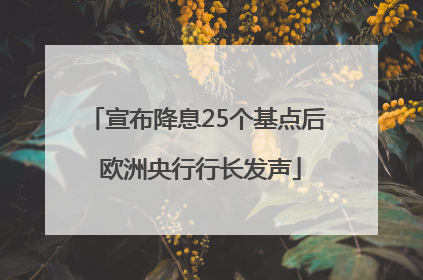 宣布降息25个基点后 欧洲央行行长发声