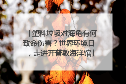 塑料垃圾对海龟有何致命伤害？世界环境日，走进开普敦海洋馆