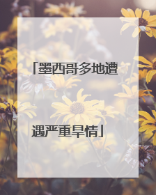 墨西哥多地遭遇严重旱情
