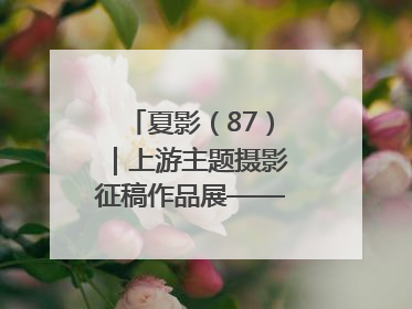 夏影（87）｜上游主题摄影征稿作品展——周社根作品