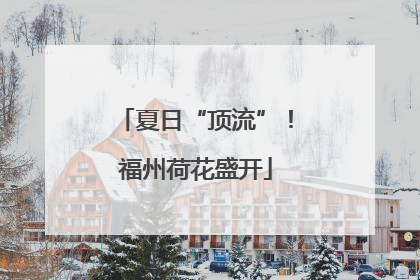 夏日“顶流”！福州荷花盛开
