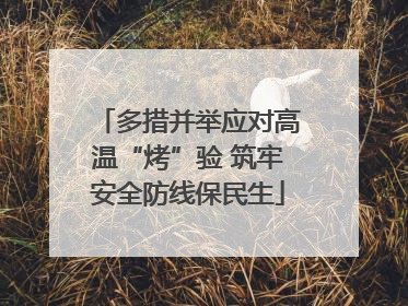 多措并举应对高温“烤”验 筑牢安全防线保民生