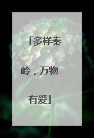 多样秦岭，万物有爱
