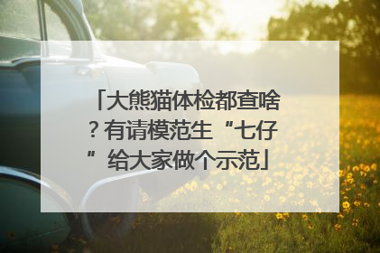 大熊猫体检都查啥？有请模范生“七仔”给大家做个示范