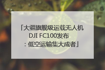 大疆旗舰级运载无人机DJI FC100发布：低空运输集大成者