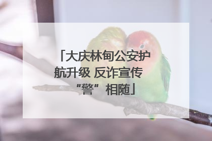 大庆林甸公安护航升级 反诈宣传“警”相随