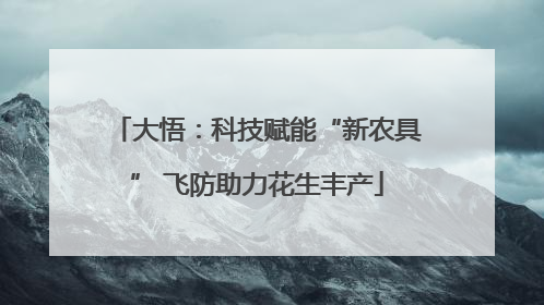 大悟：科技赋能“新农具” 飞防助力花生丰产