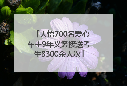 大悟700名爱心车主9年义务接送考生8300余人次