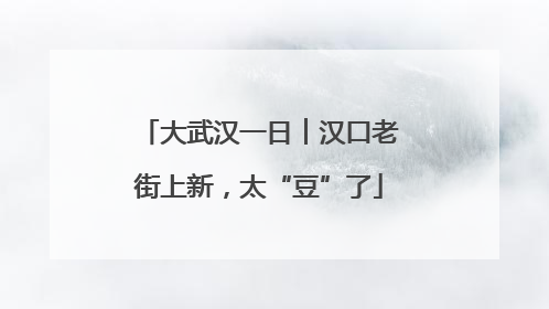 大武汉一日︱汉口老街上新，太“豆”了