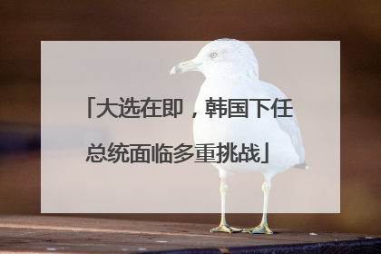 大选在即，韩国下任总统面临多重挑战