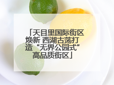 天目里国际街区焕新 西湖古荡打造“无界公园式”高品质街区