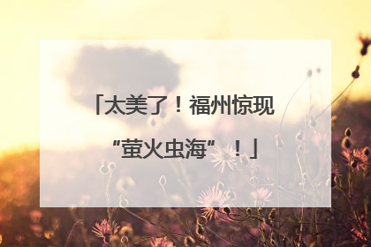 太美了！福州惊现“萤火虫海”！