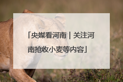 央媒看河南｜关注河南抢收小麦等内容
