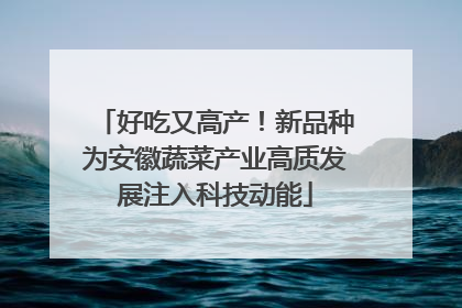 好吃又高产！新品种为安徽蔬菜产业高质发展注入科技动能