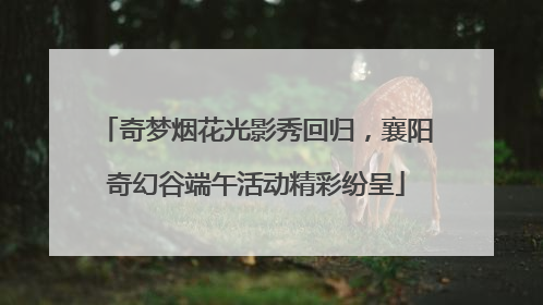 奇梦烟花光影秀回归，襄阳奇幻谷端午活动精彩纷呈